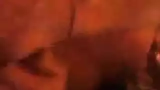 مومس الواد فاشخ كسمها نيكه عاوز كمان وكمان واحلى شرمطه ونيك