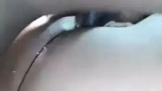الهواة الأميركيين من أصول إفريقية عازمة على الظهر الكلب